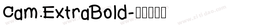 Cam ExtraBold字体转换
